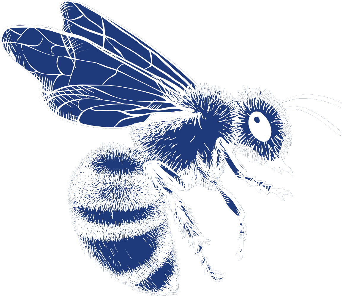 Wall Less Bee Honey Bee Removal From Walls - Beesaway